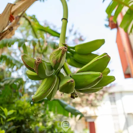 Appartamento Monteverdi - 2 *