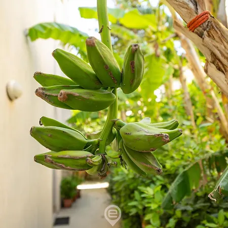 Monteverdi - 2 Appartement Cagliari